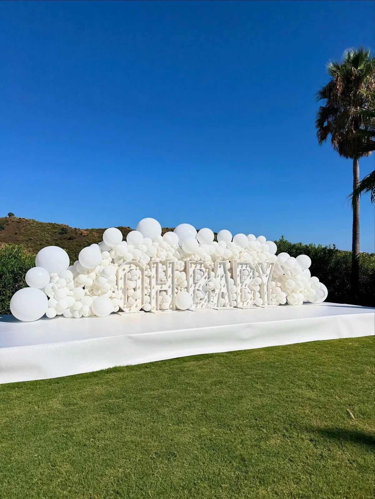Decoración para revelaciones de sexo realizada por Mi Fiesta Málaga