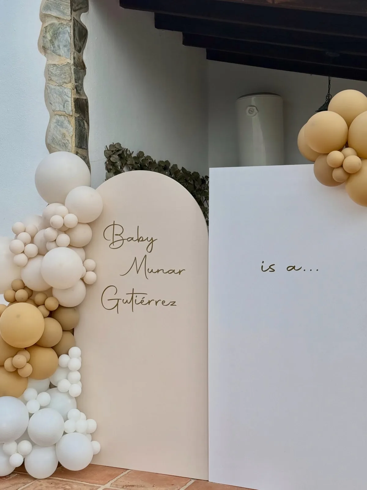 Decoración para revelaciones de sexo realizada por Mi Fiesta Málaga